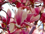 20070323 20.jpg